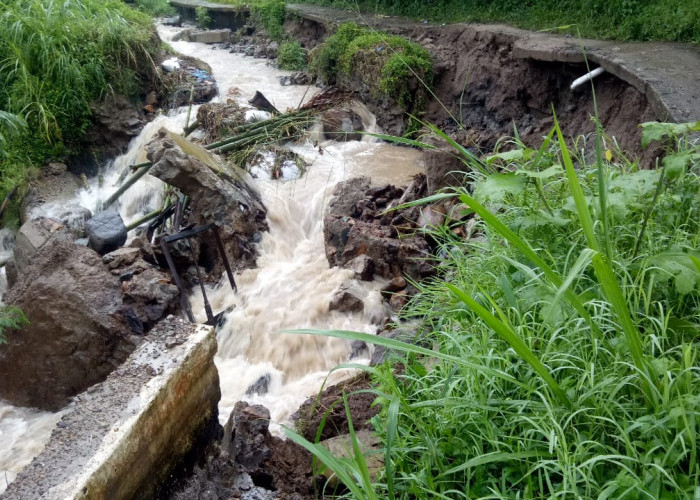 Irigasi Rusak Akibat Banjir, Puluhan Hektare Sawah di Atakh Kuripan Terancam Gagal Panen