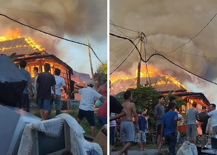 Pagi Mencekam, Tiga Rumah Warga Ludes Terbakar di Pesisir Barat