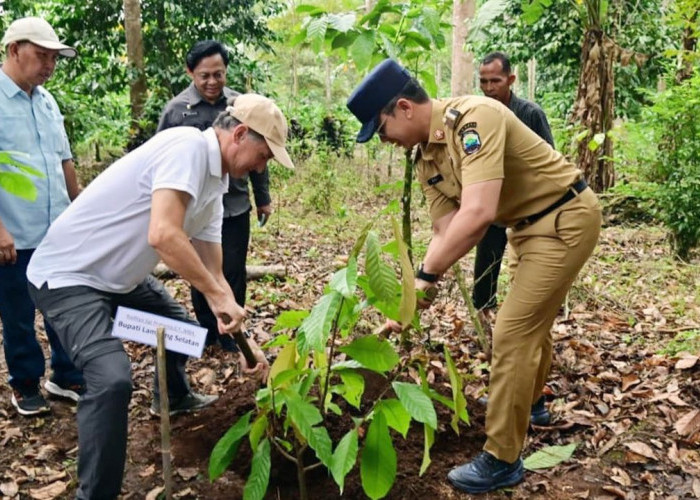Bagikan Ribuan Bibit, Menko Zulkifli Hasan Tegaskan Pentingnya Kelestarian Hutan Gunung Rajabasa