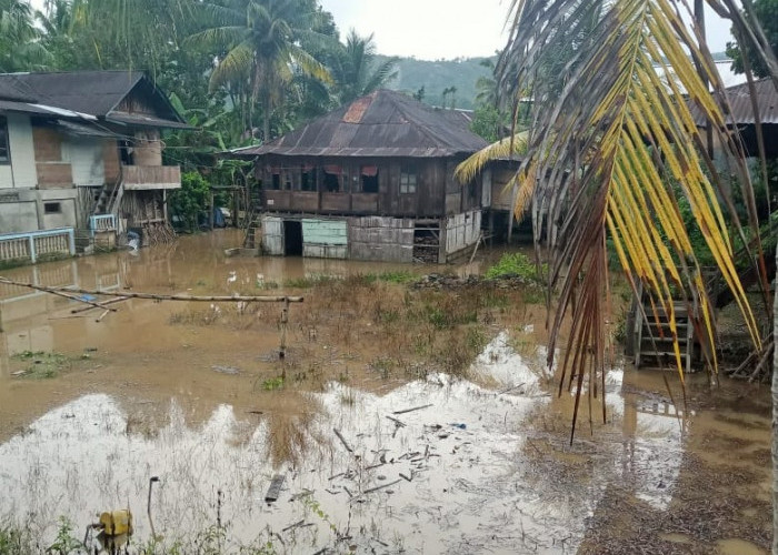 Puluhan Rumah Sering Dilanda Banjir, Warga Buay Nyerupa Tunggu Penanggulangan Pemkab Lambar 