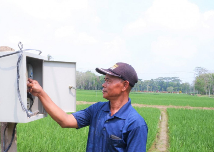 Modernisasi Pertanian Lewat Electrifying Agriculture, PLN Bantu Petani Tekan Biaya Produksi