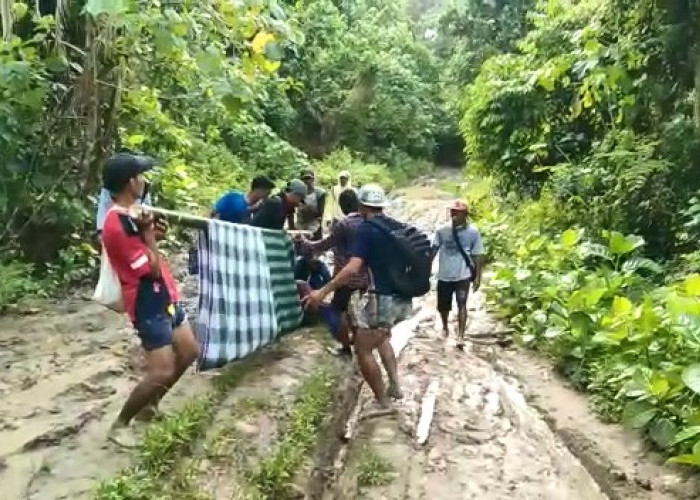 Sempat Terjatuh, Warga Way Haru Ditandu Berjam-jam Menuju Puskesmas