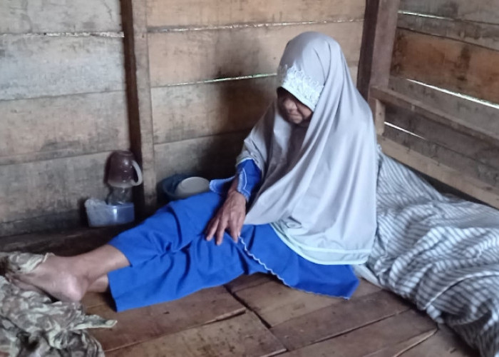 Wali Kota Bandar Lampung Geram Temukan Lansia Tinggal di Hunian Tak Layak