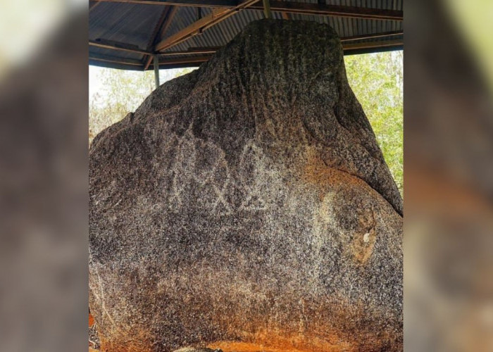 Mengenal Situs Megalitik Tutari: Jejak Sejarah dan Falsafah Kepemimpinan Purba di Papua