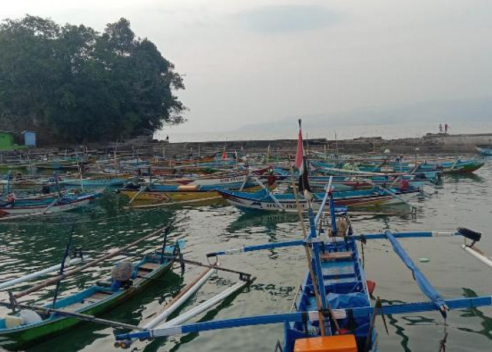 Produksi Ikan Pesbar Naik Signifikan, Pasar Luar Daerah Serap Hasil Tangkapan Nelayan