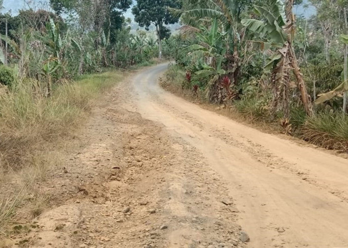 APBDP Pemkab Lambar Diharapkan Sentuh Pembangunan Jalan Poros Sinar Jaya-Trimulyo