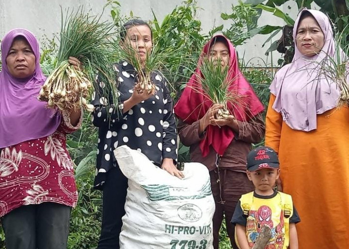 KWT Sumberejo Konsisten Hasilkan Sumber Pangan Mandiri 