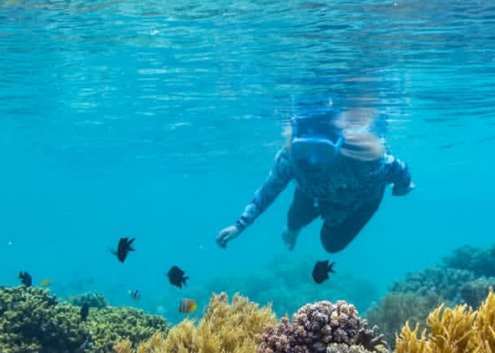Tanjung Karang, Pesona Bahari Donggala yang Menggoda