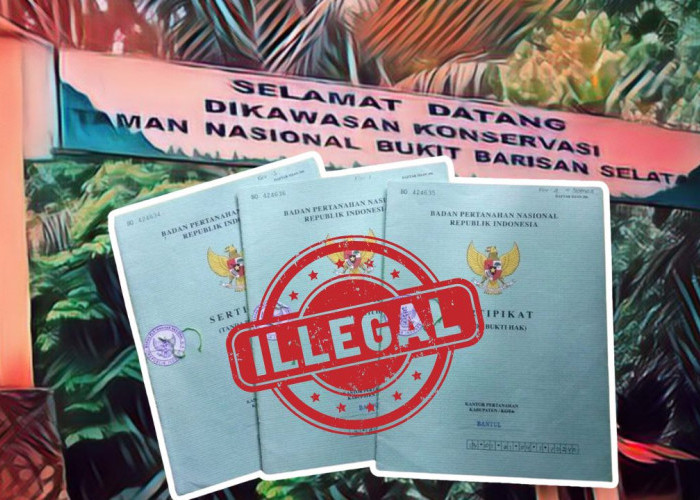 121 Sertifikat Terbit di Kawasan Konservasi, TNBBS Klaim Tak Pernah Dilibatkan