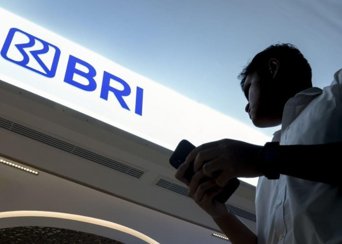 Kualitas Kredit BRI Meningkat, Rasio NPL Membaik Berkat Manajemen Risiko yang Prudent