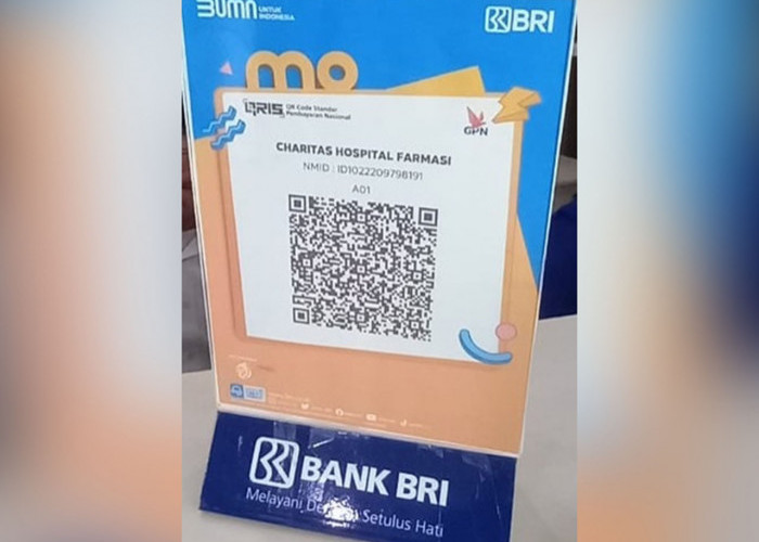 Kemudahan Bayar Obat di Instalasi Farmasi Melalui BRImo