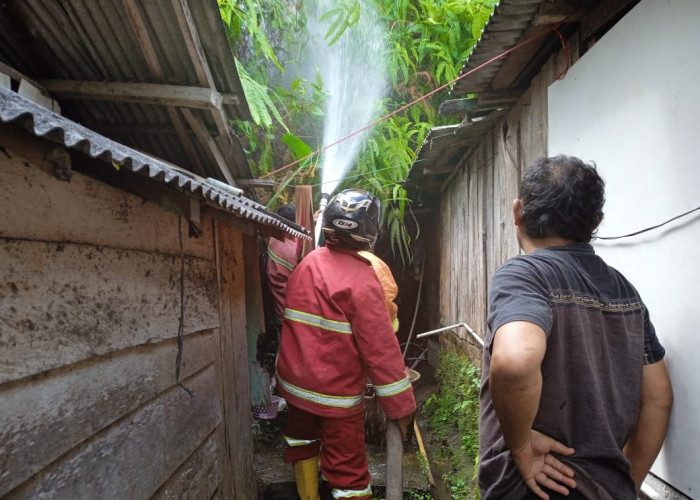 Niat Hati Bakar Alang-Alang Satu Rumah Nyaris Dilalap Api