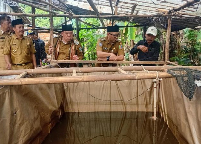 Gubernur Mirza Dorong Petani Gunakan Pupuk Hayati Cair untuk Tingkatkan Hasil Panen