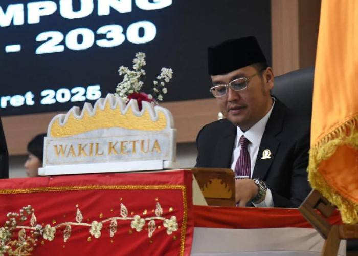 DPRD Lampung Dukung Kehadiran Taksi Listrik, Dorong Transportasi Ramah Lingkungan