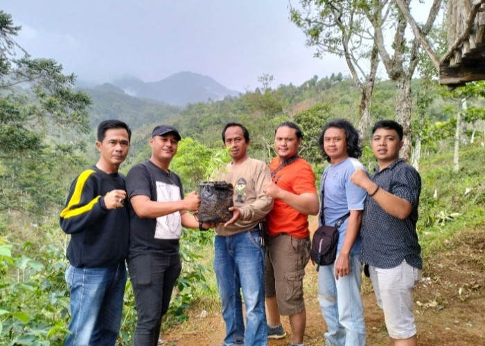 Polisi Temukan 4 Batang Tanaman Ganja di Hutan Register 34B