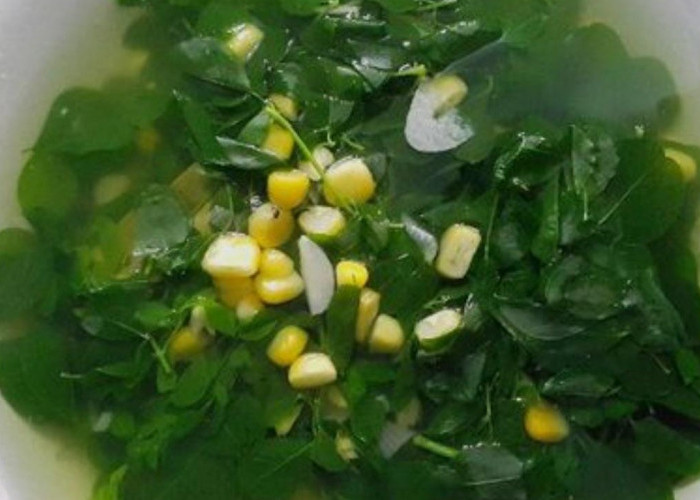Sayur Bening Daun Kelor: Hidangan Tradisional Kaya Gizi yang Menyegarkan