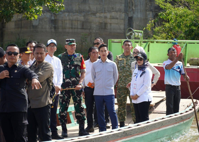 Jembatan Way Bungur Jadi Prioritas, Wapres Gibran Tinjau Langsung Lokasi Proyek