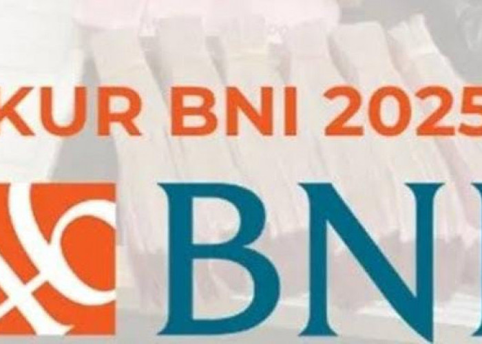 Cara Pengajuan Pinjaman KUR BNI 2025 Online Plafon Rp500 Juta, Cuma Modal HP Bisa Langsung Cair