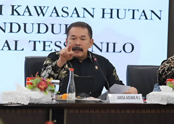 Tesso Nilo Kritis: Hutan Menyempit, Dokumen Palsu Terkuak