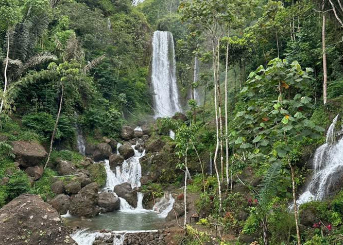Curug Cikurutug, Pesona Air Terjun Alami yang Mudah Dijangkau di Selatan Cianjur