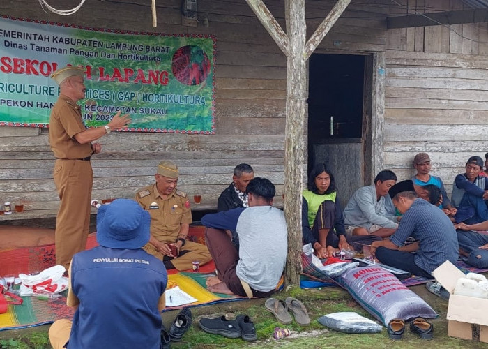 DTPH Lampung Barat Adakan Sekolah Lapang Bagi Petani Hortikultura