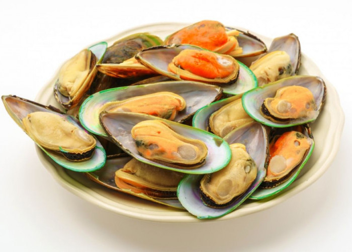 Cara Aman Membersihkan dan Memasak Kerang Hijau agar Hidangan Lebih Nikmat