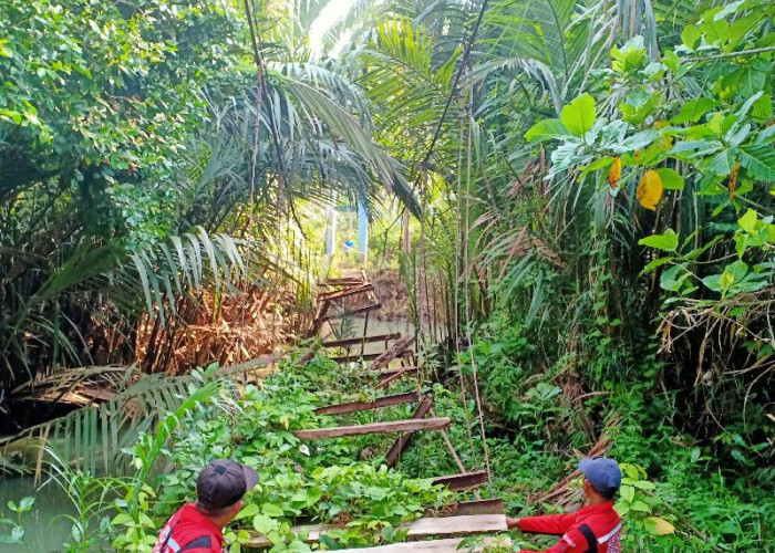 Gubernur Lampung Gerakkan Gotong Royong Perbaiki Jembatan Viral Tampang Muda