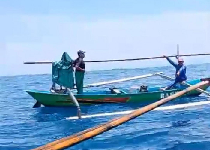 Nelayan Pasar Krui Ditemukan di Perairan Bangkunat