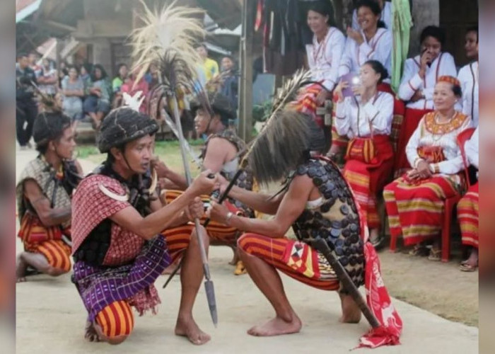 Tari Bulu Londong: Tarian Perang Tradisional dari Mamasa, Sulawesi Barat
