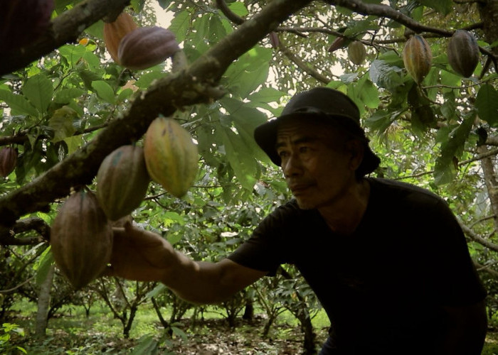 Dari Pesisir ke Panggung Nasional: Desa Sausu Tambu dan Lompatan Ekonomi Berbasis Potensi Lokal