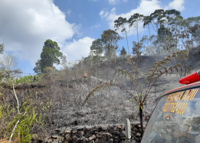 Dua Hektar Semak Belukar di Pekon Sukajaya Terbakar 