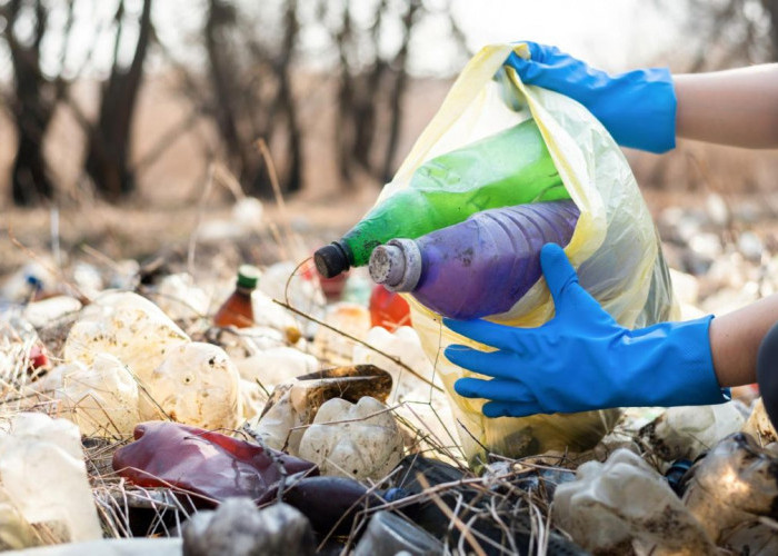 Pemerintah Genjot Aksi Bersih-Bersih Sampah, Target Rampung Sebelum 2029