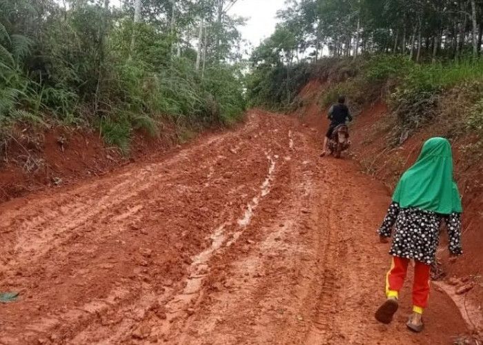 Akses Sulit, Warga Sidodadi Menantikan Pembangunan Jalan