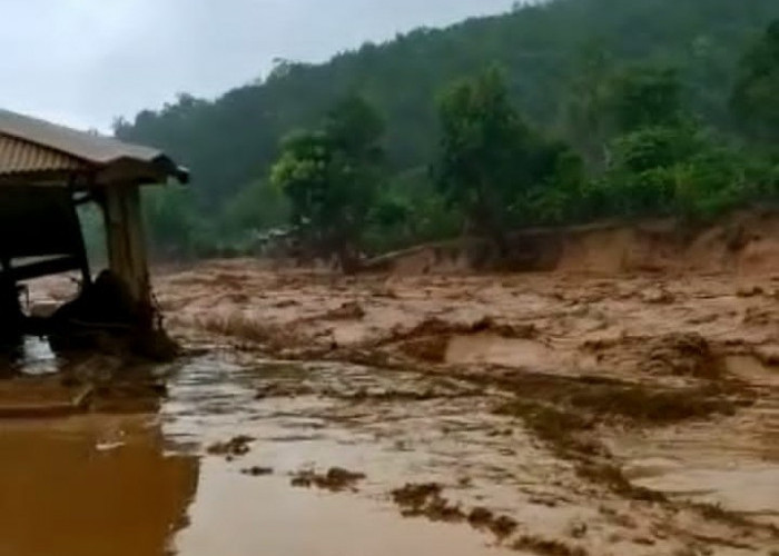 Diguyur Hujan Lebat, Pekon Sidomulyo Diterjang Banjir Bandang 