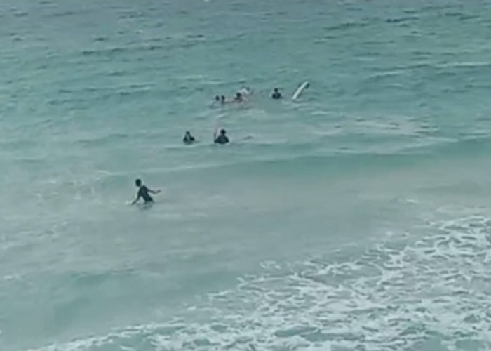 Aksi Cepat Lifeguard Evakuasi Nelayan Saat Perahu Terbalik di Labuhan Jukung