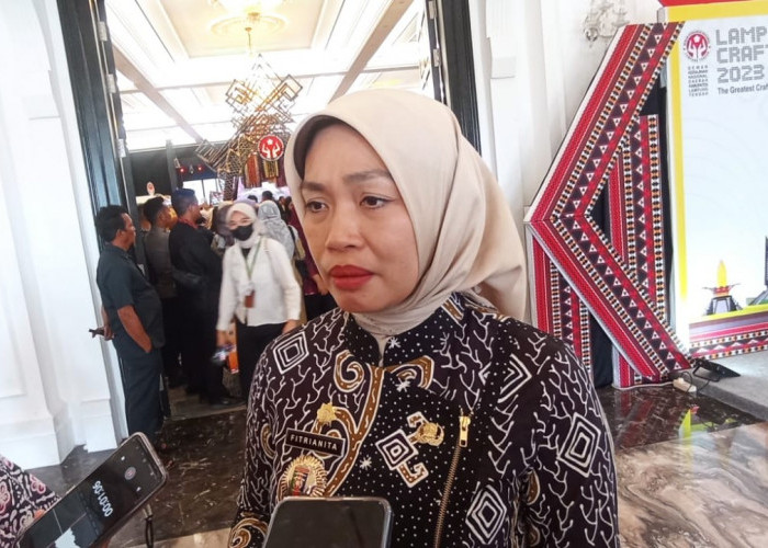71.741 Perempuan di Lampung Jadi Kepala Keluarga dan Tersebar di 15 Kabupaten/Kota 