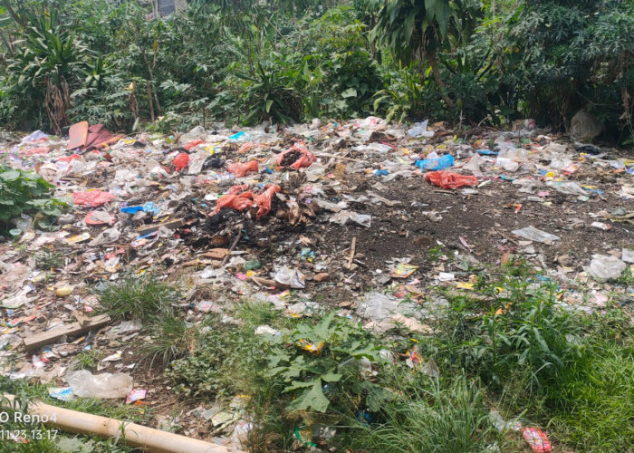 Pemkab Lampung Barat Diminta Bertindak Atasi Masalah Sampah di Pasar Bungin 
