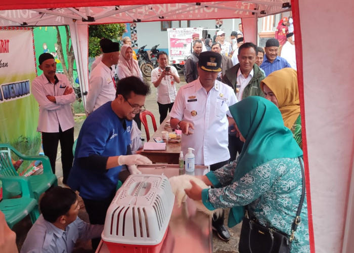 Cegah Rabies, Disbunnak Lampung Barat Vaksin Ratusan HPR 