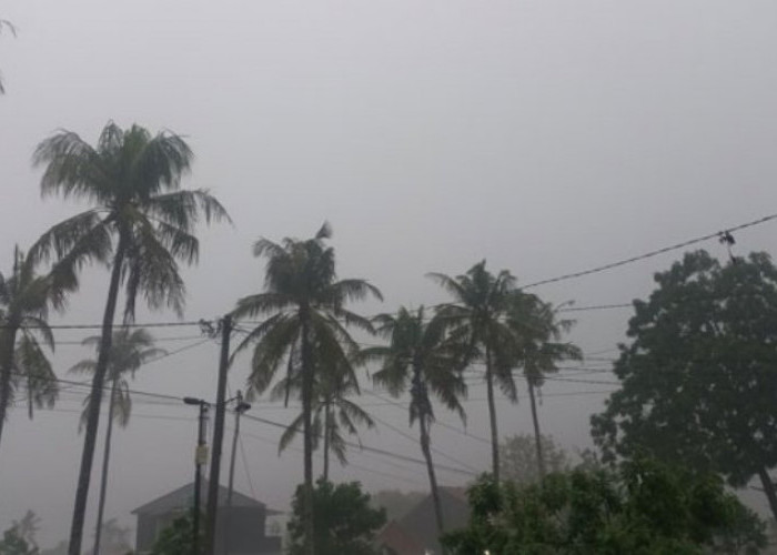 BMKG Keluarkan Peringatan Dini Hujan Lebat dan Angin Kencang di Sejumlah Wilayah Lampung