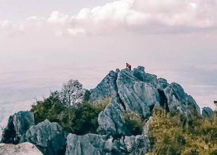 Menaklukkan Dinding Batu Fatule’u, Antara Adrenalin, Mitos, dan Panorama Kupang