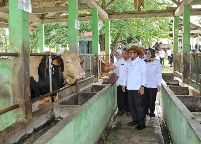 Pj Gubernur Lampung Tinjau Proses Produksi Mani Sapi Beku di Lampung Tengah