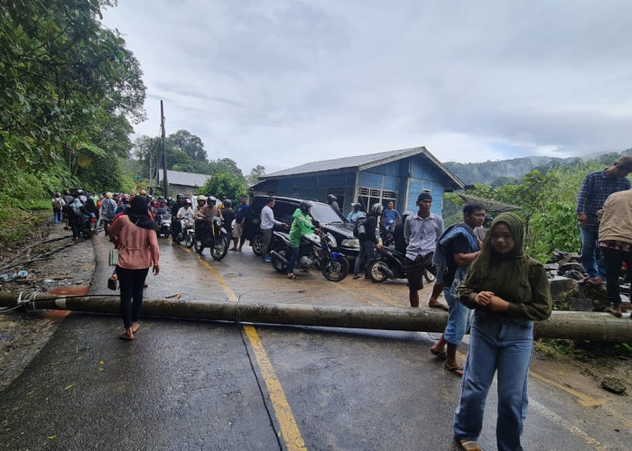 Tiang Listrik Ambruk di Jalur Liwa-Krui Dipicu Kabel Tersangkut Bak Tronton