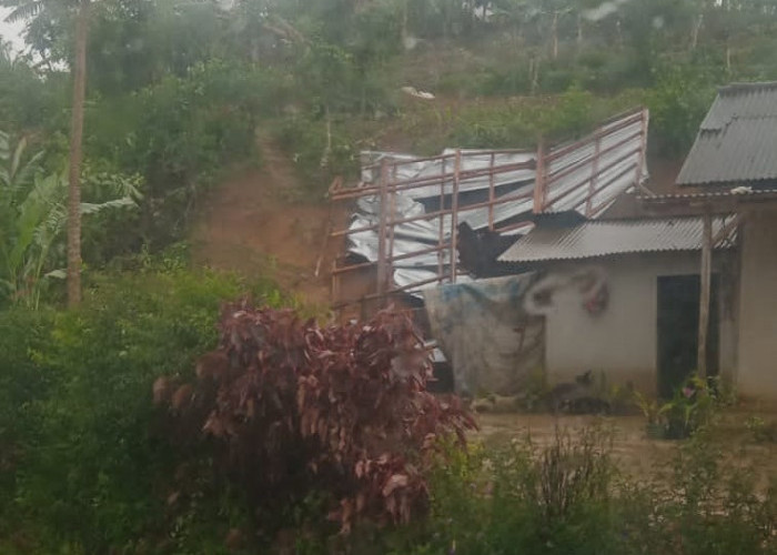 Angin Puting Beliung Terjang Pemukiman di Pekon Pampangan