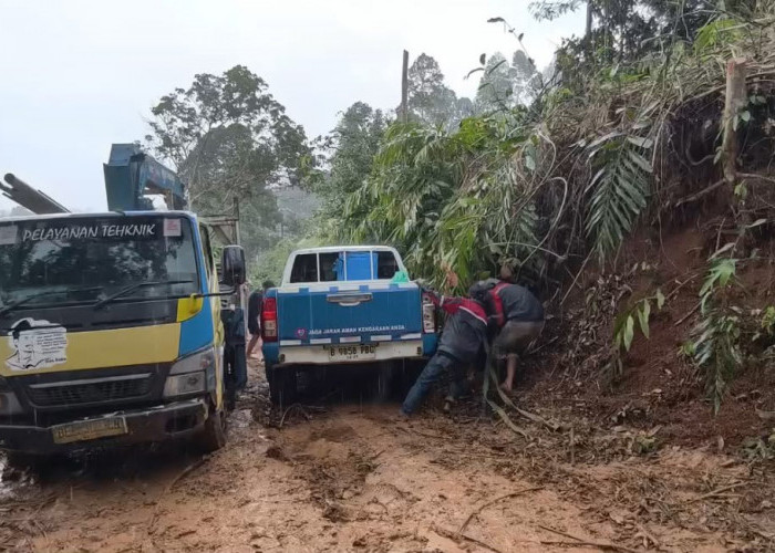 Sambut HUT RI ke-81, PLN Percepat Pemerataan Listrik di Provinsi Lampung