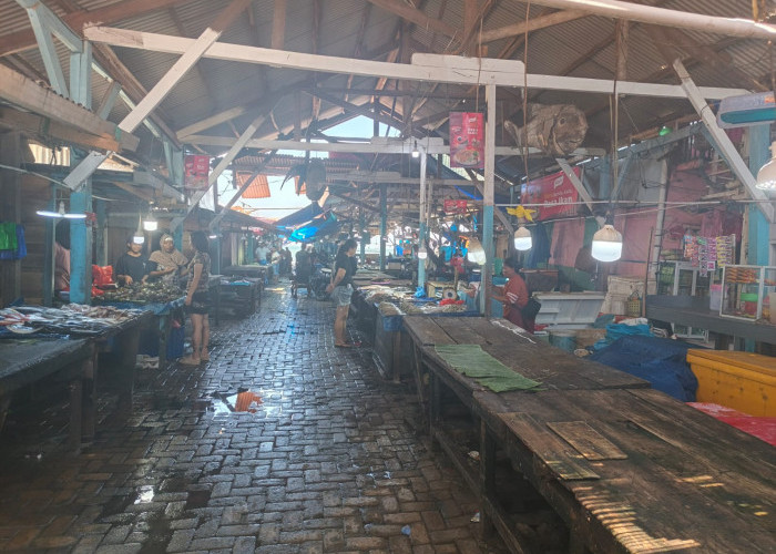 Bandar Lampung Bidik Ikan Siluman: Dari Timbangan ke Meter Persegi