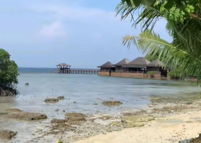 Pulau Pahawang: Destinasi Wisata Bahari Eksotis di Lampung