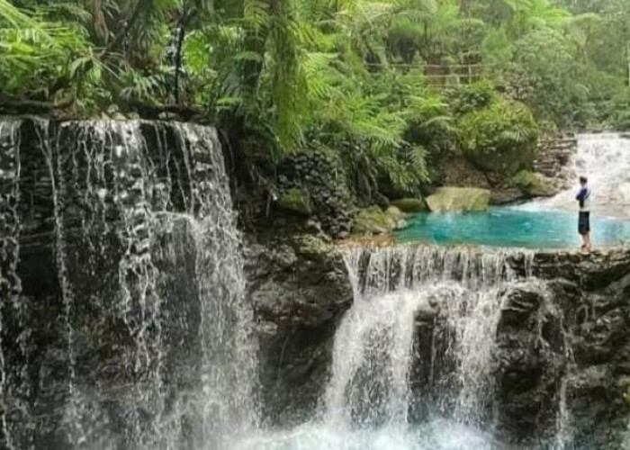 Curug Balong Endah, Pesona Air Terjun Alami di Jantung Halimun Salak