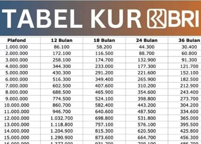 Tabel KUR BRI 2025 untuk Pinjaman Rp30–50 Juta, Simak Rincian Angsurannya