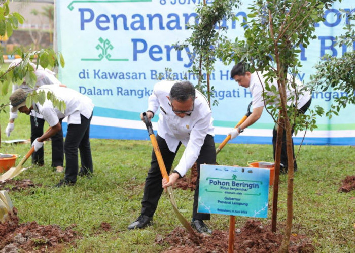 Puncak Peringatan Hari Lingkungan Hidup, Pemprov Lampung Tanam Bibit Pohon di Kawasan Wisata Krakatau Park