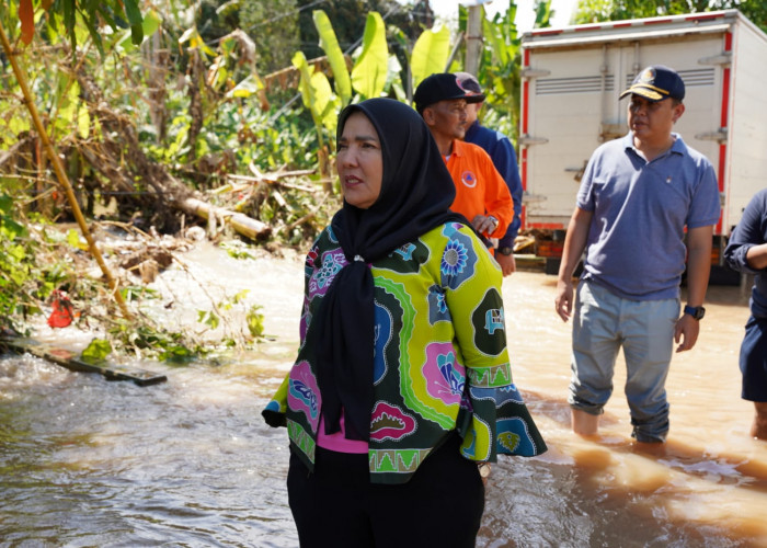 Turun Langsung Melakukan Peninjauan Banjir, Wali Kota Bandar Lampung Sampaikan Permintaan Maaf